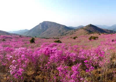 Mt. Biseulsan, South Korea