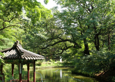 Changdeokgung Palace's Secret Garden, Seoul, South Korea